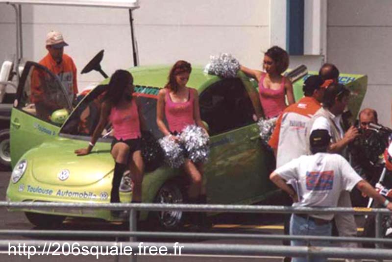 Pom-pom Griles avec New Beetle Lupo